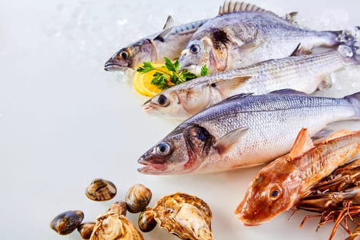 High Angle Still Life View of Fresh Raw Fish, Shellfish and Seafood Arranged in Attractive Display on White Background with Lemon