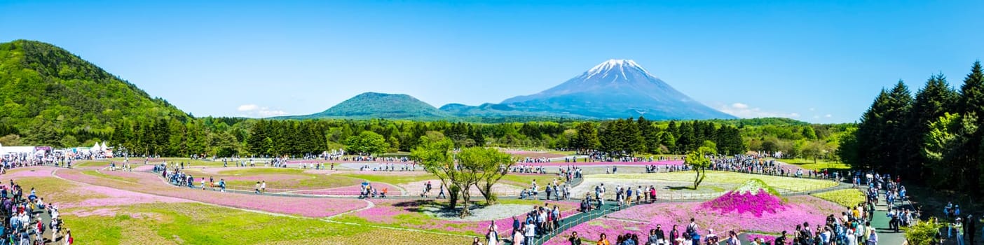 Yamanashi, Japan - May 12, 2016