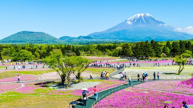 Yamanashi, Japan - May 12, 2016