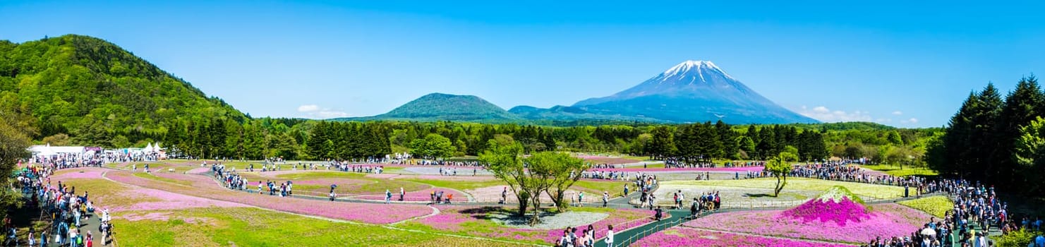 Yamanashi, Japan - May 12, 2016