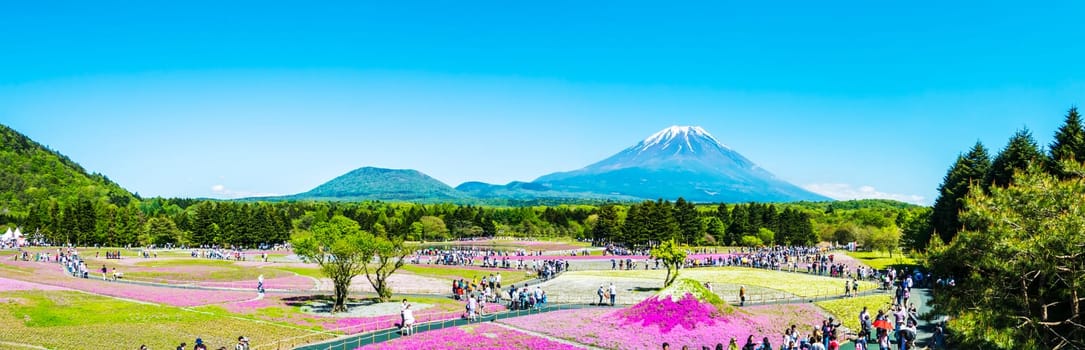 Yamanashi, Japan - May 12, 2016
