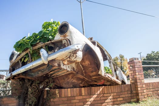 An old car wreck is balanced on the premeter wall by the roadside, and used for garden decoration.