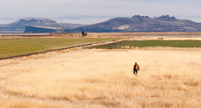 A man wears orange to keep safe during hunting season