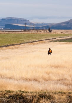 A man wears orange to keep safe during hunting season