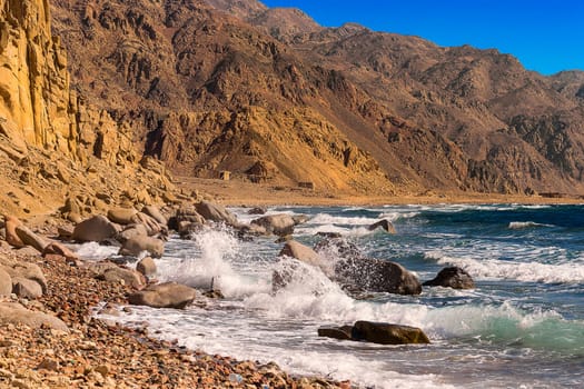wild Sinai