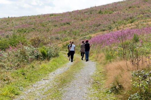 Hike in Sauerland,Neuerade,North Rhine-Westphalia,Germany