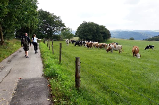 Hike in Sauerland,Neuenrade,North Rhine-Westphalia,Germany