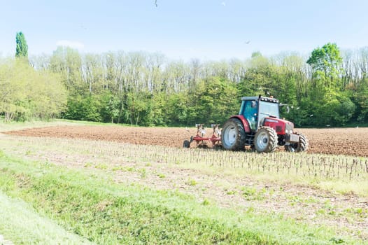 Farm work. Small scale farming with tractor and plow in field