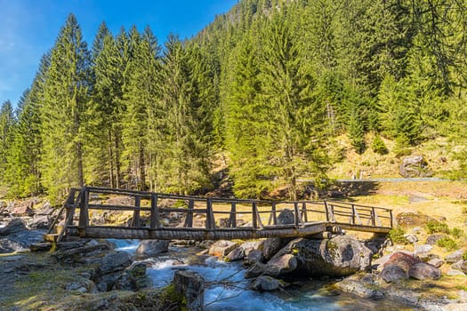 Natural wood bridge