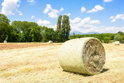 Rural landscape.Harvested field with straw bales in summer.