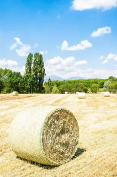 Rural landscape.Harvested field with straw bales in summer.