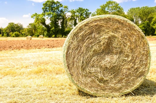 Rural landscape.Harvested field with straw bales in summer.