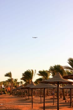The Aircraft Flies over the Beach. Beach at Sun Light.