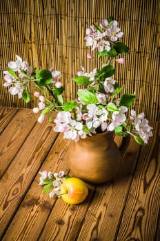 Ripe apple and blossoming branch of an apple-tree in a clay jar, close-up