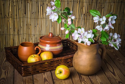 Ripe apple and blossoming branch of an apple-tree in a clay jar, close-up