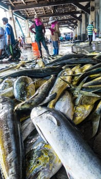 Taitung, Taiwan - May 28, 2016 : Fishing boats docked Chenggong Fishing Harbor remove fishing goods