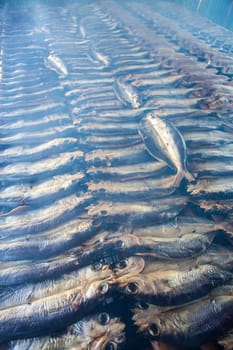 The Smoked fish on plate in the summer, Taiwan
