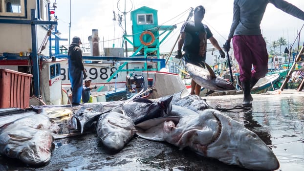 Taitung, Taiwan - May 28, 2016 : Fishing boats docked Chenggong Fishing Harbor remove fishing goods