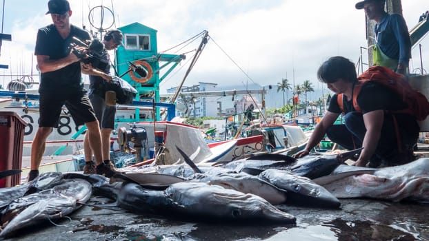 Taitung, Taiwan - May 28, 2016 : Fishing boats docked Chenggong Fishing Harbor remove fishing goods