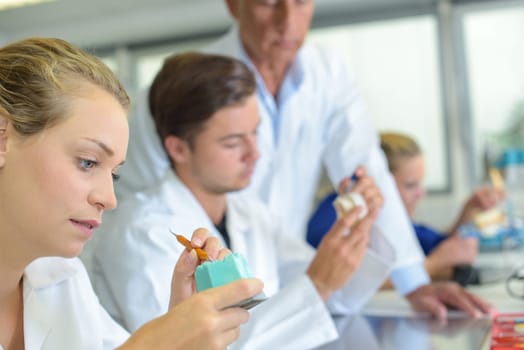 Students working in dentists laboratory
