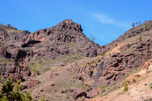 Volcanic Rock Basaltic Formation in Gran Canaria Canary Islands