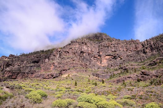 Volcanic Rock Basaltic Formation in Gran Canaria Canary Islands