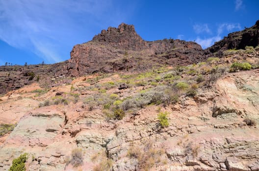 Volcanic Rock Basaltic Formation in Gran Canaria Canary Islands