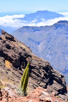 Photo Picture of a Valley in the Canary Islands Roque los Muchachos