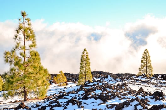 Winter Landscape on the High Mountain Range