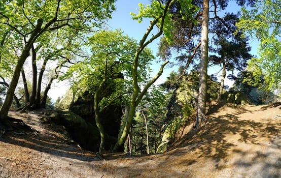 Hiking trail along the Devil's Wall near Timmenrode