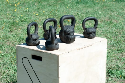 black, shiny iron weights in the form of a dog and cat heads, for weightlifting and fitness on a wooden box, in the open air on a background of green grass, sending. fitness concept