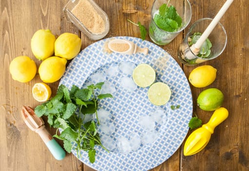 Fresh ingredients for preparing cocktails