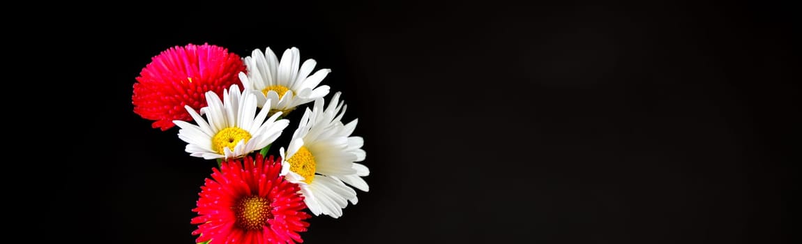 Flowers on a black background