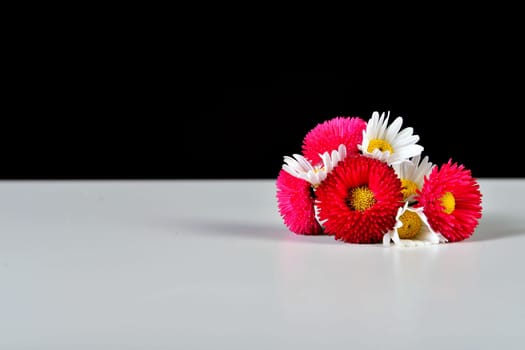 Flowers on a black background