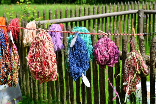 colorful wool on a leash in the garden