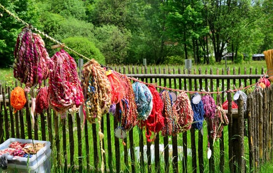 colorful wool on a leash in the garden