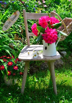 old chair in the garden with flowers in spring
