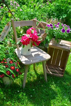 old chair in the garden with flowers in spring