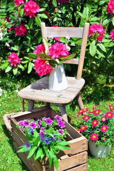 old chair in the garden with flowers in spring