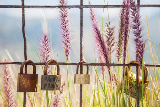 Four really rusty padlocks hanged on a fence