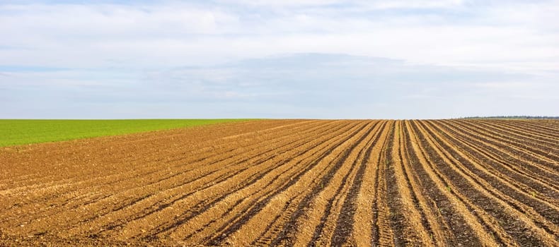 Farmland panorama - brown field, blue sky, rural landscape