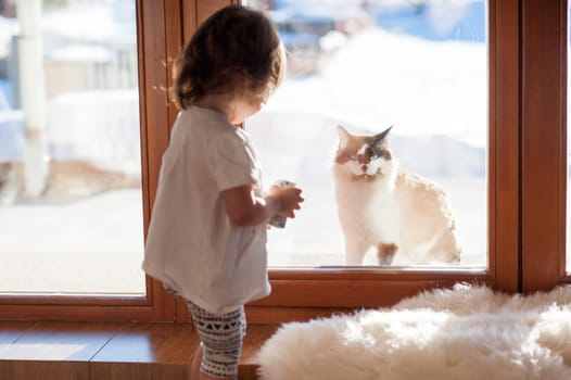 Best friends. The cat and the little girl, looking through a window