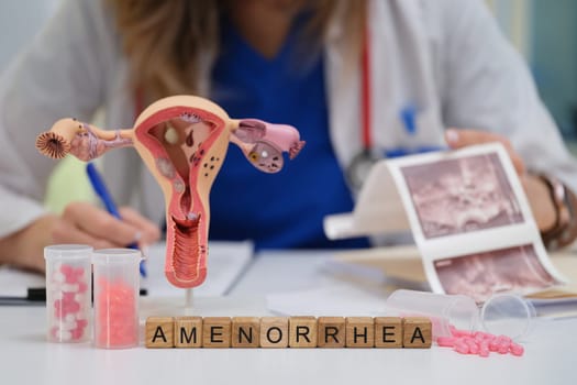 A devoted medical professional is studying amenorrhea using a detailed model of the female reproductive system