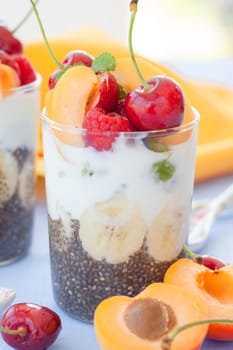 Chia pudding and yoghurt in the glass with fresh fruechten