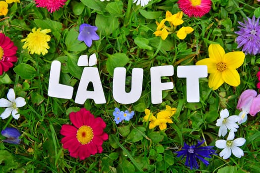 Running text on flowers meadow.