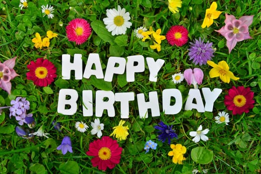 Happy Birthday to You.Text on colorful flower meadow.