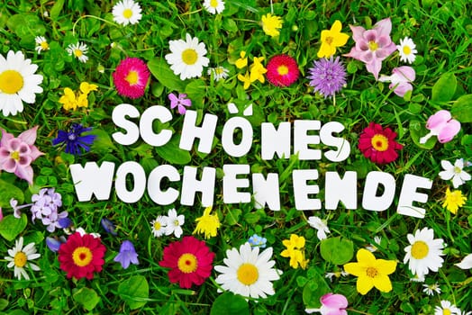 beautiful weekend text on flower meadow.