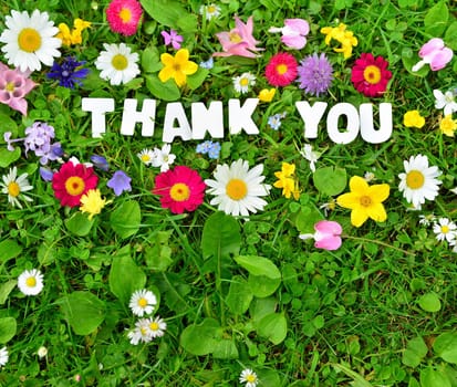 thank you text on flower meadow.