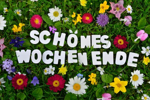 beautiful weekend text on flower meadow.