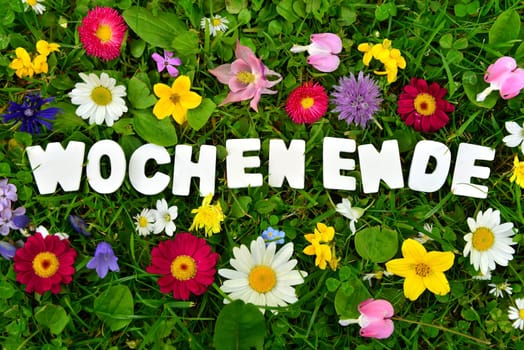 beautiful weekend text on flower meadow.